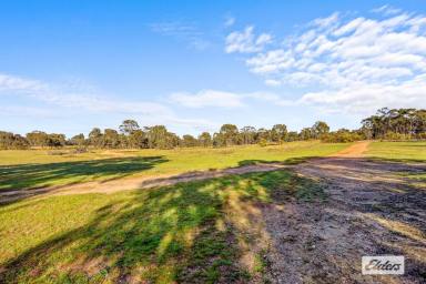 Lifestyle For Sale - VIC - Navarre - 3384 - Wonderful getaway or hobby farm  (Image 2)