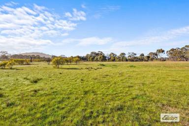 Lifestyle For Sale - VIC - Navarre - 3384 - Wonderful getaway or hobby farm  (Image 2)