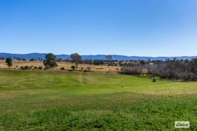 Other (Rural) For Sale - NSW - Morans Crossing - 2550 - OUTSTANDING RIVER FRONT FARM - 593 MEG IRRIGATION LICENCE!  (Image 2)