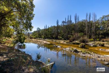 Other (Rural) For Sale - NSW - Morans Crossing - 2550 - OUTSTANDING RIVER FRONT FARM - 593 MEG IRRIGATION LICENCE!  (Image 2)