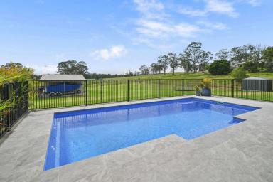 House For Sale - NSW - Seaham - 2324 - LIFESTYLE, SPACE & LUXURY IN SEAHAM!  (Image 2)
