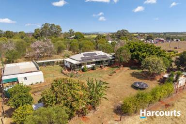House For Sale - QLD - Horton - 4660 - RURAL LIFESTYLE WITHOUT THE ACREAGE HEADACHE (Image 2)