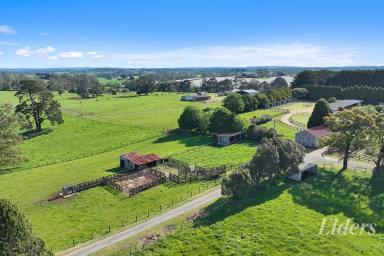 Acreage/Semi-rural For Sale - VIC - Warragul - 3820 - Two Titles - 92 Acres with Extensive Equine Facilities  (Image 2)