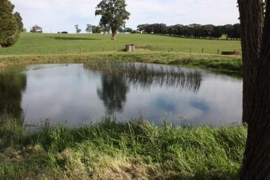 Acreage/Semi-rural For Sale - VIC - Warragul - 3820 - Two Titles - 92 Acres with Extensive Equine Facilities  (Image 2)