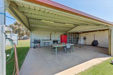 House For Sale - VIC - Merbein West - 3505 - FIRST HOME BUYERS LIFESTYLE OPPORTUNITY  (Image 2)