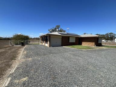 House For Sale - QLD - Gracemere - 4702 - Country Views & Convenient Gracemere Living  (Image 2)