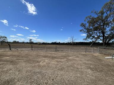 House For Sale - QLD - Gracemere - 4702 - Quality Country Views with all the Convenient of Gracemere Living on 1200m2  (Image 2)