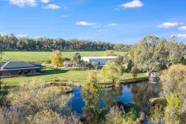 Farmlet Auction - VIC - Toolamba - 3614 - Exceptional Lifestyle & Farming Property (Image 2)