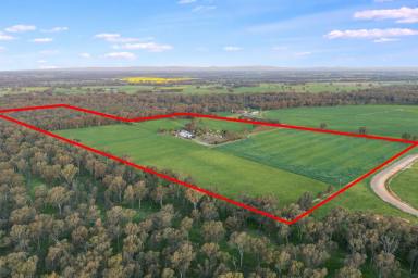 Farmlet Auction - VIC - Toolamba - 3614 - Exceptional Lifestyle & Farming Property (Image 2)