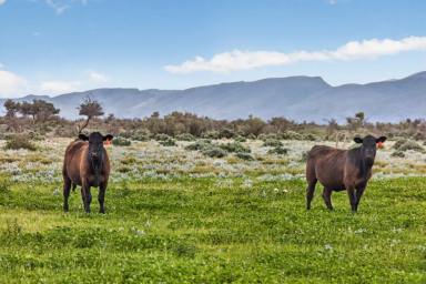 Other (Rural) For Sale - SA - Parachilna - 5730 - Commodore Station (Image 2)