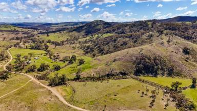 Other (Rural) For Sale - NSW - Mudgee - 2850 - YOUR OWN POCKET OF THE COUNTRYSIDE (Image 2)