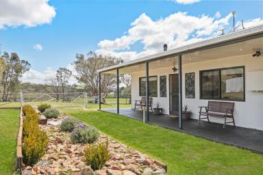 Lifestyle For Sale - NSW - Mudgee - 2850 - 100-ACRE EQUINE ESCAPE WITH CAMPBELLS CREEK FRONTAGE  (Image 2)
