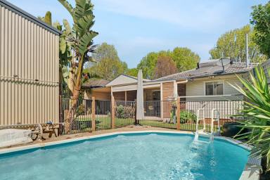 House For Lease - QLD - Rangeville - 4350 - Beautifully Renovated Family Home with Pool  (Image 2)