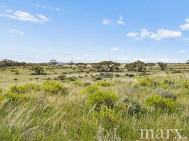 Mixed Farming For Sale - SA - Sedan - 5353 - Versatile Rural Holding  (Image 2)