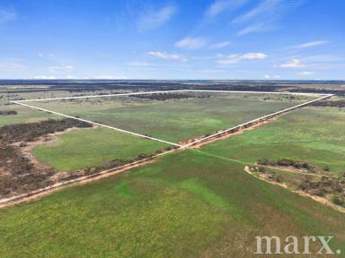 Mixed Farming For Sale - SA - Sedan - 5353 - Versatile Rural Holding  (Image 2)