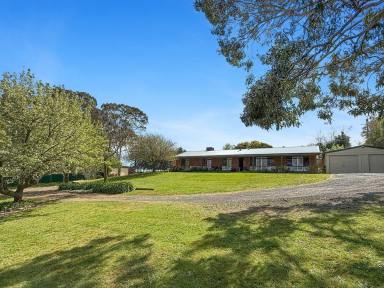 House For Sale - NSW - Young - 2594 - Acreage, Versatility & Development Potential  (Image 2)