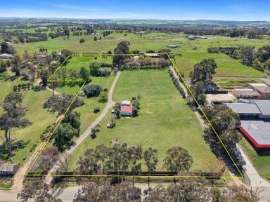 House For Sale - NSW - Young - 2594 - Acreage, Versatility & Development Potential  (Image 2)
