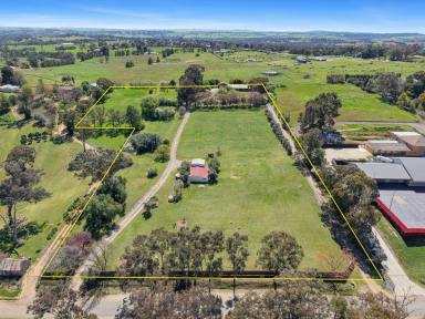 House For Sale - NSW - Young - 2594 - Acreage, Versatility & Development Potential  (Image 2)