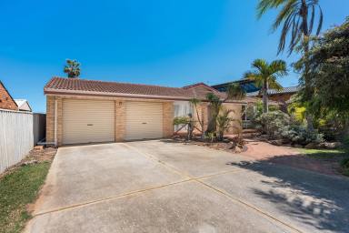 House For Sale - WA - Mount Tarcoola - 6530 - NOW SELLING - 4x2 FAMILY HOME WITH POOL MOUNT TARCOOLA  (Image 2)