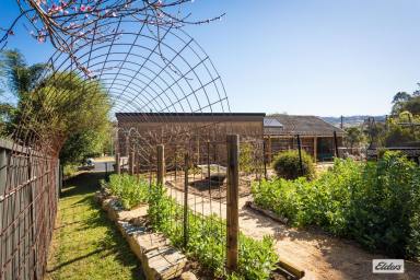 House For Sale - NSW - Bega - 2550 - Spacious Family Living with Stunning Valley Views  (Image 2)