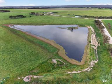 Other (Rural) For Sale - VIC - Kilmany - 3851 - Two Quality Multi-Use Allotments – Kilmany  (Image 2)