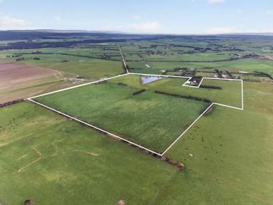 Other (Rural) For Sale - VIC - Kilmany - 3851 - Two Quality Multi-Use Allotments – Kilmany  (Image 2)