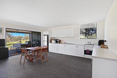 Lifestyle For Sale - NSW - Mudgee - 2850 - ESCAPE THE GRID, EMBRACE THE COUNTRY (Image 2)