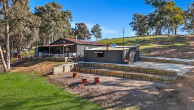 Lifestyle For Sale - NSW - Mudgee - 2850 - ESCAPE THE GRID, EMBRACE THE COUNTRY (Image 2)