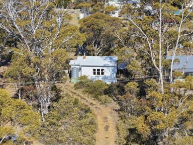 House For Sale - TAS - Miena - 7030 - Highland Retreat Overlooking Great Lake (Image 2)