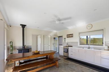 Lifestyle For Sale - NSW - Mudgee - 2850 - "KALUDABAH HEIGHTS"  (Image 2)