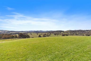 Lifestyle For Sale - NSW - Mudgee - 2850 - "KALUDABAH HEIGHTS"  (Image 2)