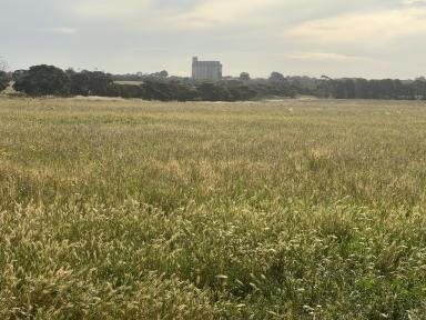 Mixed Farming For Sale - SA - Karoonda - 5307 - Versatile Property, Cropping or Livestock Conveniently located  (Image 2)