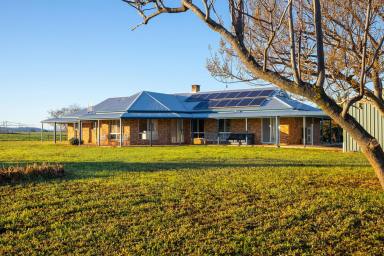 Mixed Farming For Sale - NSW - Nangus - 2722 - RIVENDELL (Image 2)