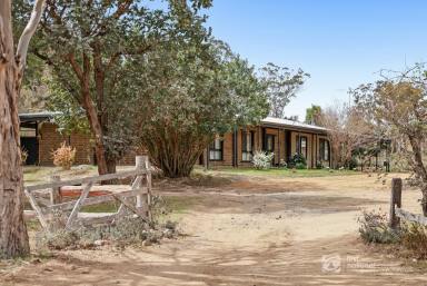 Acreage/Semi-rural For Sale - QLD - Rosenthal Heights - 4370 - A Country Home With Room to Roam  (Image 2)