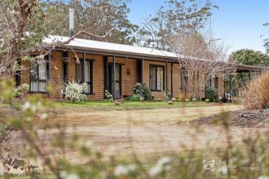 Acreage/Semi-rural For Sale - QLD - Rosenthal Heights - 4370 - A Country Home With Room to Roam  (Image 2)