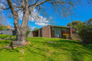 Unit For Sale - VIC - Myrtleford - 3737 - Quiet Location Close to Schools, Golf & Recreation  (Image 2)