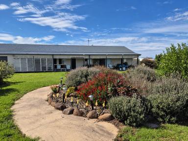 House For Sale - QLD - Sladevale - 4370 - Elevated Lifestyle Living | Beautiful Gardens, Sunset Views & Serious Shed Space  (Image 2)