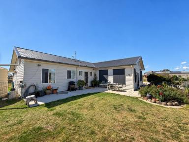House For Sale - QLD - Sladevale - 4370 - Elevated Lifestyle Living | Beautiful Gardens, Sunset Views & Serious Shed Space (Image 2)