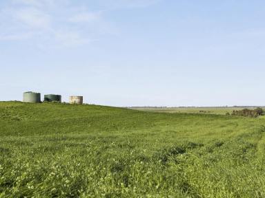 Livestock For Sale - VIC - Cundare - 3251 - VERSATILE BEEAC / CUNDARE DISTRICT FARMING PROPERTY (Image 2)