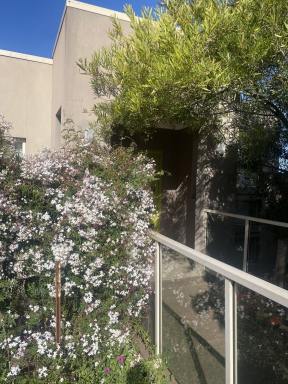 House For Sale - VIC - Sunshine North - 3020 - Architect-Designed Home in River Valley Estate (Image 2)