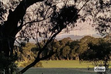 Lifestyle For Sale - VIC - Stawell - 3380 - 80 acre Lifestyle or Development Opportunity Just Minutes From Stawell (Image 2)