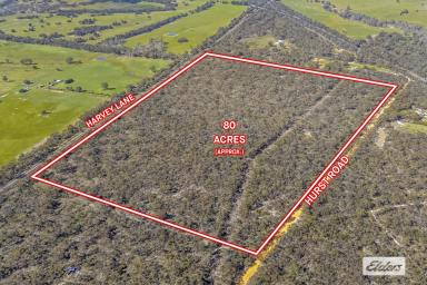 Lifestyle For Sale - VIC - Stawell - 3380 - 80 acre Lifestyle or Development Opportunity Just Minutes From Stawell (Image 2)