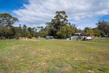 Residential Block For Sale - TAS - White Beach - 7184 - Over an Acre with Water Views (Image 2)