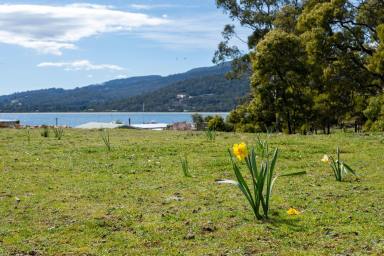 Residential Block For Sale - TAS - White Beach - 7184 - Over an Acre with Water Views (Image 2)