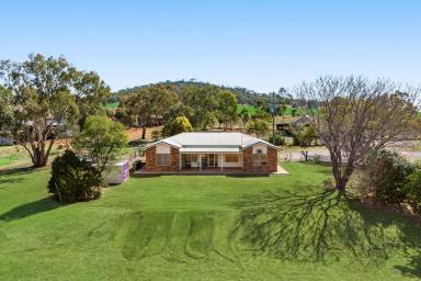 Cropping For Sale - QLD - Nobby - 4360 - EASTERN VIEWS - lifestyle with income potential!  (Image 2)