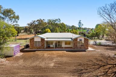 Cropping For Sale - QLD - Nobby - 4360 - EASTERN VIEWS - lifestyle with income potential!  (Image 2)