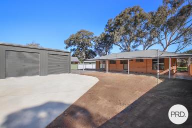 House For Lease - NSW - Thurgoona - 2640 - RENOVATED THREE-BEDROOM HOME! (Image 2)