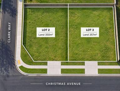Residential Block For Sale - WA - Orelia - 6167 - BUILD YOUR FUTURE HERE - CHOOSE ONE OR BOTH.  (Image 2)