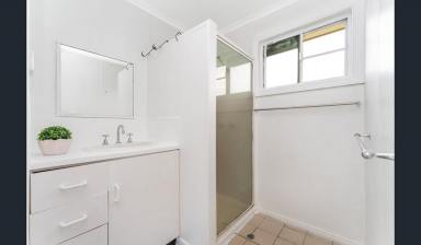 House For Sale - QLD - Ingham - 4850 - CHARMING RENOVATED HOME ON TOWN OUTSKIRTS! (Image 2)