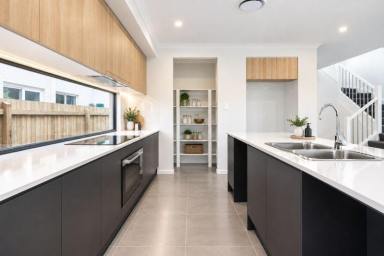 House For Lease - QLD - Seventeen Mile Rocks - 4073 - BRAND NEW SPACIOUS HOME  (Image 2)